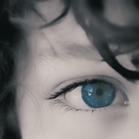 /album/galleria-fotografica/dsc4651-1-jpg/
